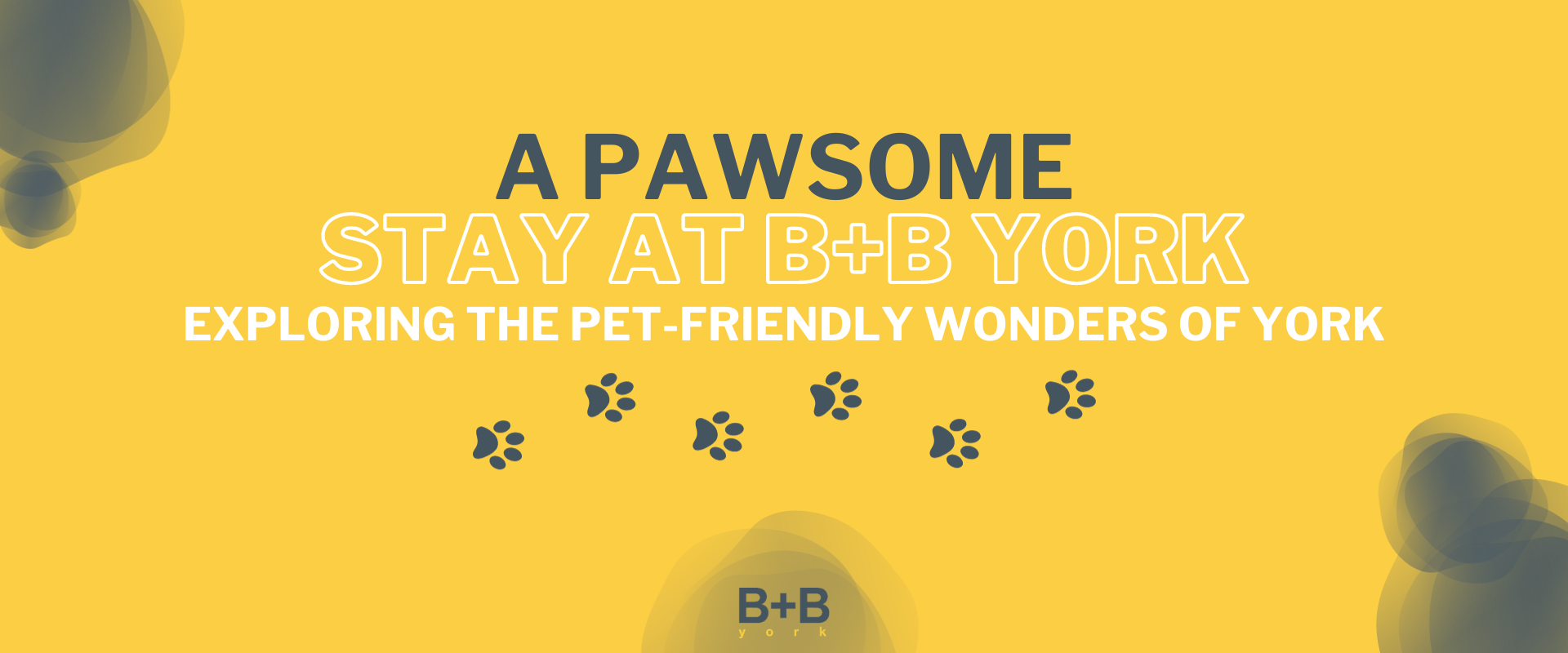 Pet-friendly Hotels With Free Breakfast In New York: A Pawsome Stay